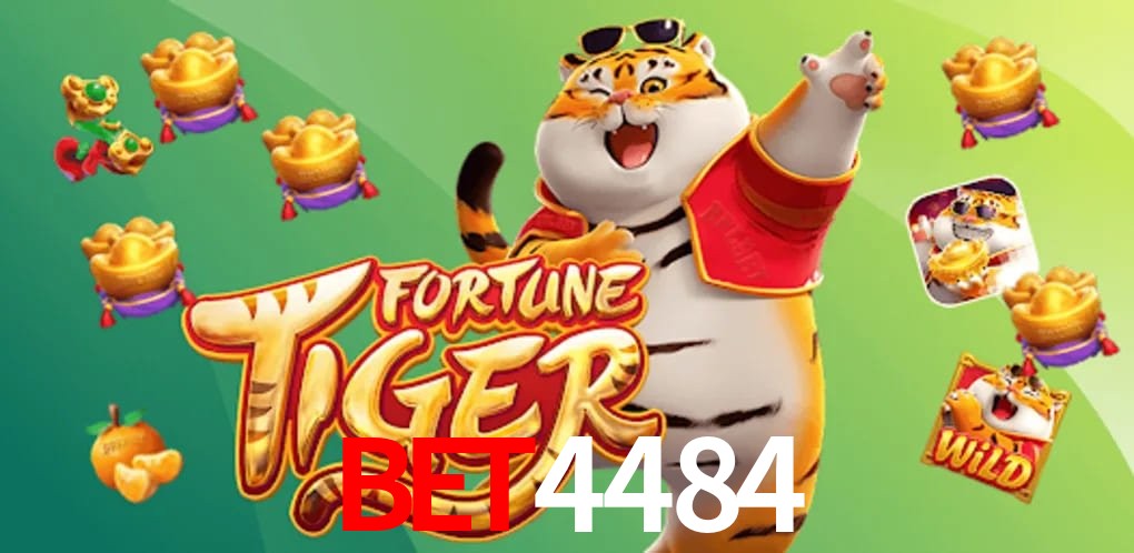 Experiência VIP bet4484
